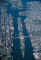 ny_east_river.jpg (54315 bytes)
