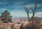 grand_canyon4.jpg (36275 bytes)
