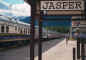 jasper.jpg (31187 bytes)