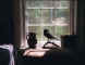 the_raven.jpg (36153 bytes)