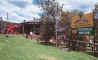jungle_juice.jpg (46176 bytes)