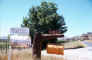 mail_box1.jpg (37801 bytes)