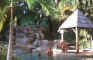morning_swim.jpg (43539 bytes)