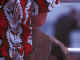 paisley.jpg (31323 bytes)