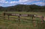 westbury_downs.jpg (35340 bytes)