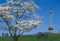 antietam1.jpg (49823 bytes)