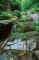 verdant_rock.jpg (55926 bytes)
