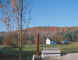 burnetts_maple.jpg (40643 bytes)