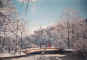 snow_days.jpg (39687 bytes)