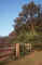 fence.jpg (31586 bytes)