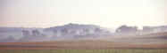 misty morning.jpg (5635 bytes)