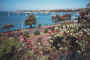 harbor.jpg (48206 bytes)
