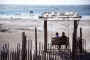 TybeeBeach.jpg (40865 bytes)