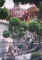 bangkok_temple4.jpg (50605 bytes)