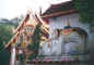 elephant_dreams.jpg (38019 bytes)