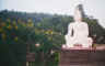 white_buddah.jpg (25809 bytes)